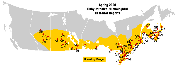 Ruby-throated map for Canada