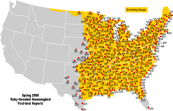 Ruby-throated map for the U.S.