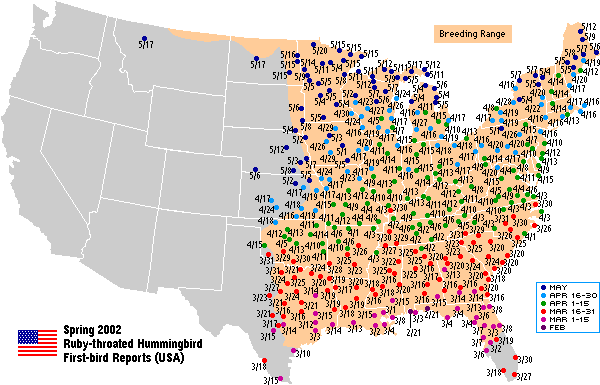 Hummingbird Migration Chart