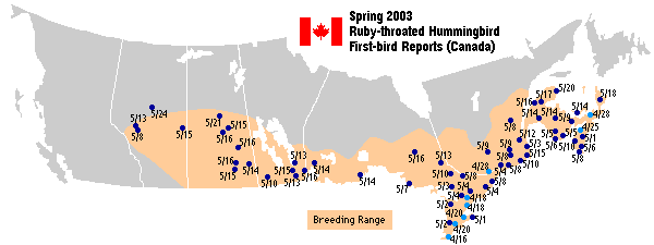 Ruby-throated map for Canada