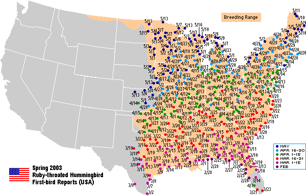 Hummingbird Migration Chart