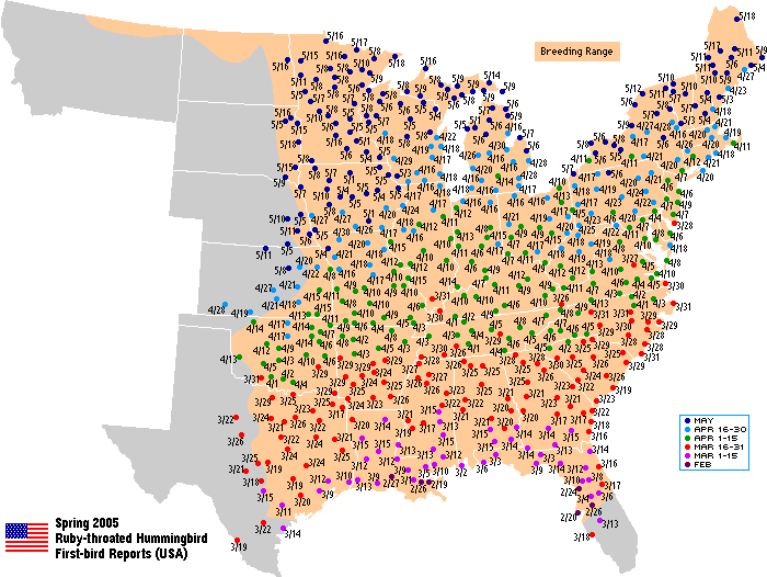 Ruby-throated map for the U.S.