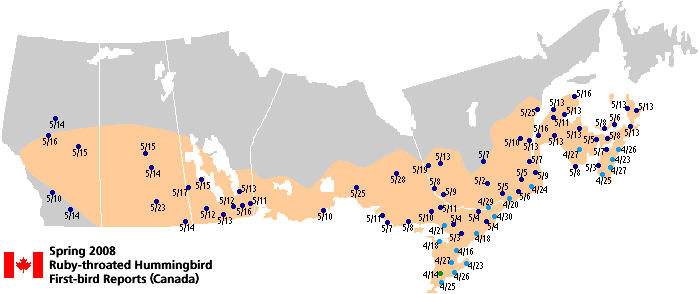 Ruby-throated map for Canada