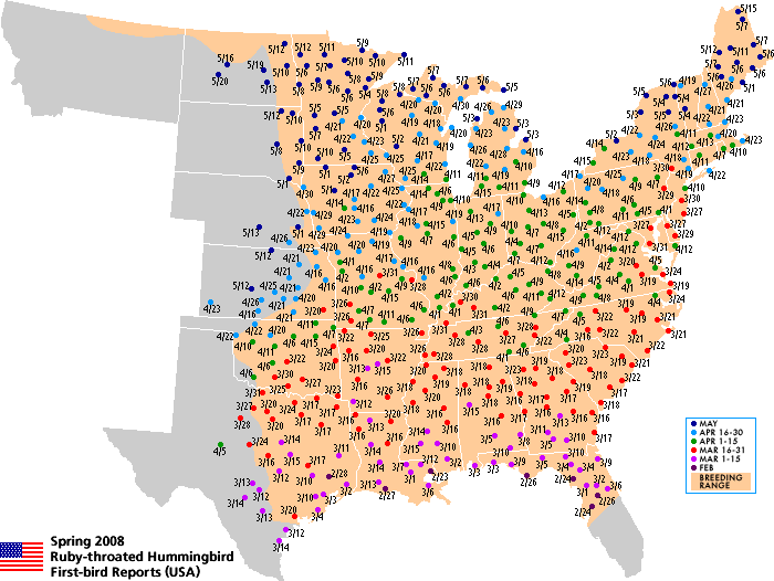 Ruby-throated map for the U.S.