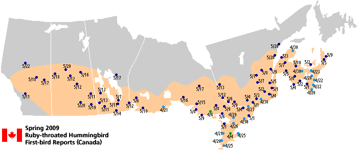 Ruby-throated map for Canada