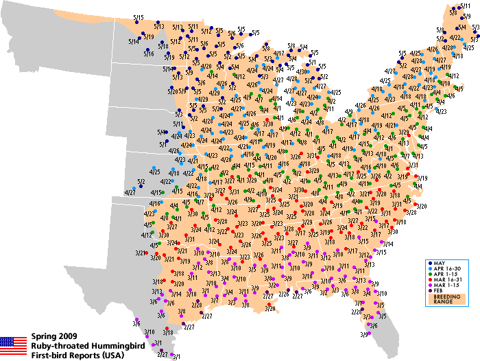 Ruby-throated map for the U.S.