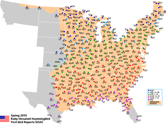 Ruby-throated map for the U.S.