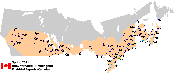 Ruby-throated map for Canada