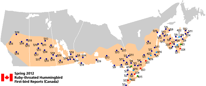 Ruby-throated map for Canada