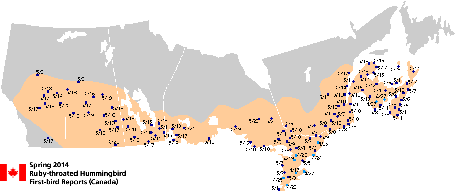 Ruby-throated map for Canada