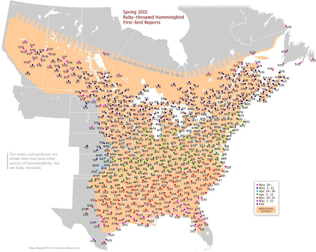 Hummingbird Migration Chart