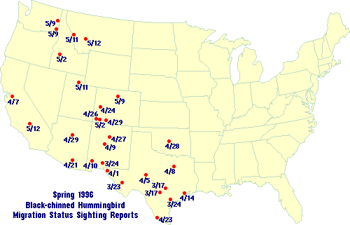 Black-chinned map