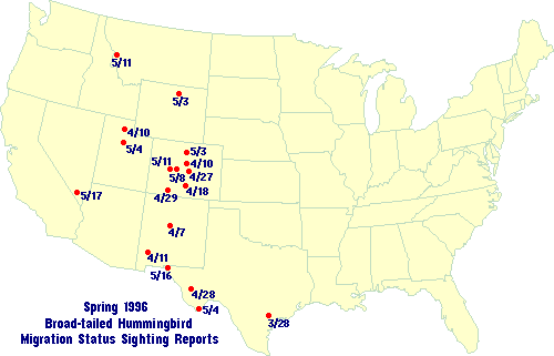 Hummingbird Migration Chart