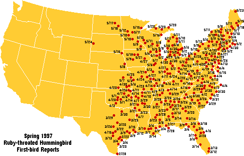 Ruby-throated map for the U.S.