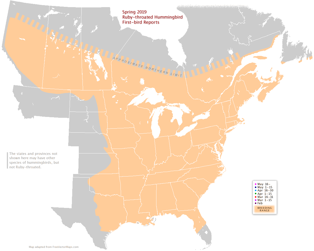 Ruby-throated map for North America